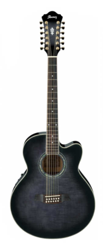 IBANEZ AEL2012E TKS
