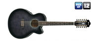 IBANEZ AEL2012E TKS
