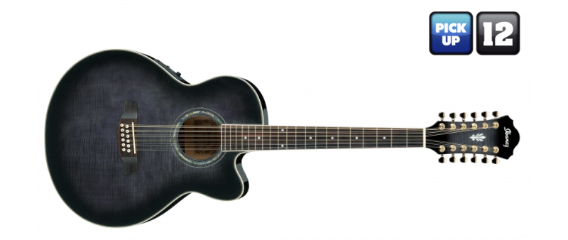 IBANEZ AEL2012E TKS