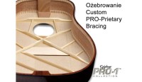 EPIPHONE PRO-1 ULTRA EB