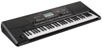 KORG PA300 PL