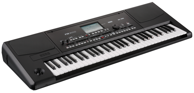 KORG PA300 PL