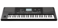 KORG PA300 PL