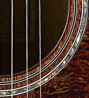 CORT L450 CL NS