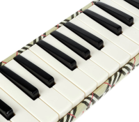 HOHNER MELODYKA REMASTER AIRBOARD C94404 32 TONY
