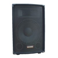 IGO SYSTEM PAS 612E ZESTAW NAGŁAŚNIAJĄCY