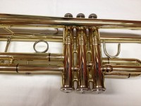 EVER PLAY T-390 BACH