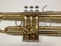 EVER PLAY T-390 BACH