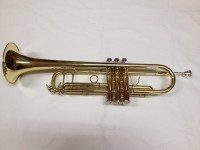 EVER PLAY T-390 BACH