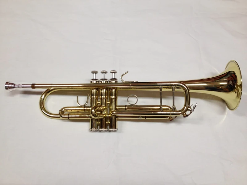 EVER PLAY T-390 BACH