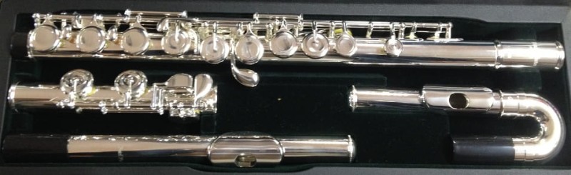PEARL PF-505 EUS DWIE GŁÓWKI ZAMKNIETE KLAPY