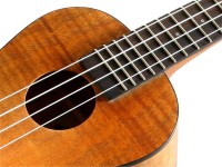 KALA KA-CEM W/BAG EXOTIC MAHOGANY UKULELE KONCERTOWE