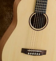 CORT EARTH MINI OP + POKROWIEC