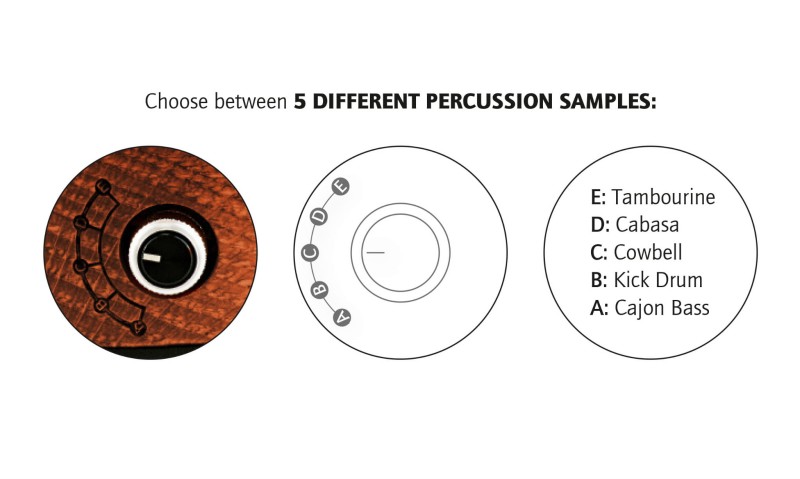 ORTEGA HORSE KICK PRO STOMP BOX