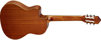 ORTEGA RCE131