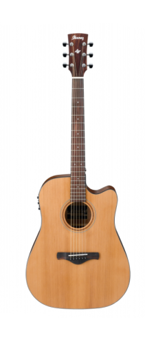 IBANEZ AW65ECE-LG
