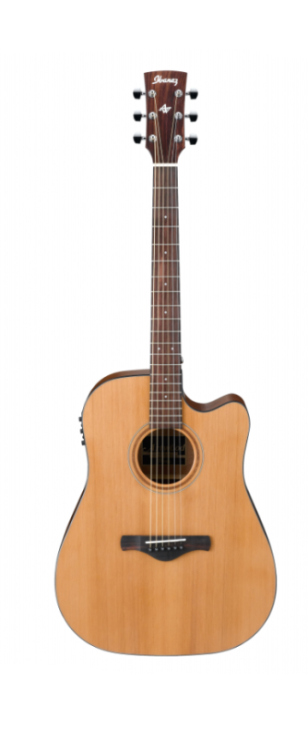 IBANEZ AW65ECE-LG