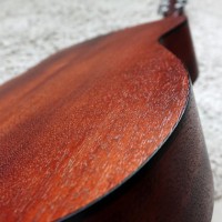 CORT AF510 W/BAG OP