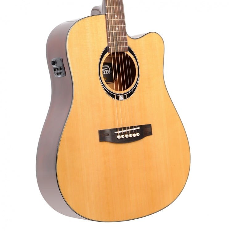 FLYCAT C100 NT CEQ