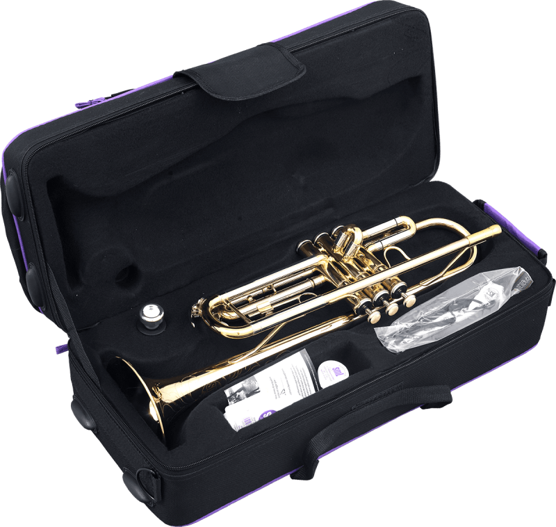 SML PARIS TP600 TRĄBKA