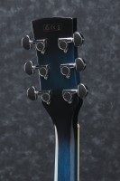 IBANEZ PF15ECE TBS