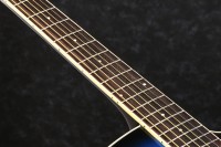 IBANEZ PF15ECE TBS