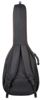 CANTO EVOLUTION AK 1.0 OR