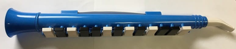 EVER PLAY DP135 MELODYKA C