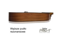 EPIPHONE PRO-1 ACOUSTIC NA