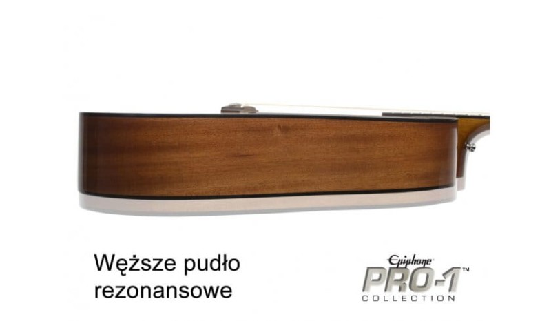 EPIPHONE PRO-1 ACOUSTIC NA