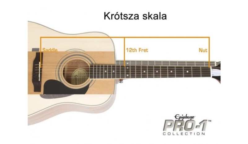 EPIPHONE PRO-1 ACOUSTIC NA