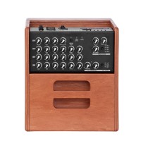 ACUS ONEFORSTRINGS 5 FERDI WOOD