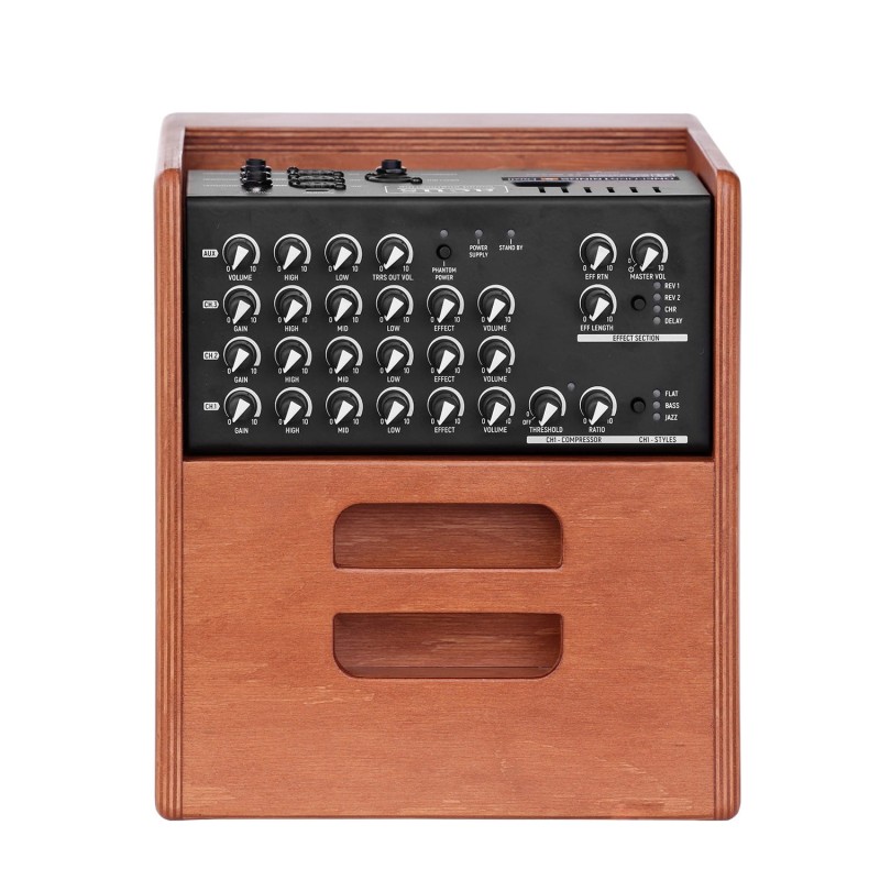 ACUS ONEFORSTRINGS 5 FERDI WOOD