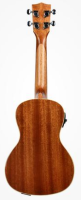 KALA MAHOGANY EQ UKULELE KONCERTOWE KA KA CG EQ