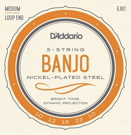 DADDARIO EJ61 BANJO SET