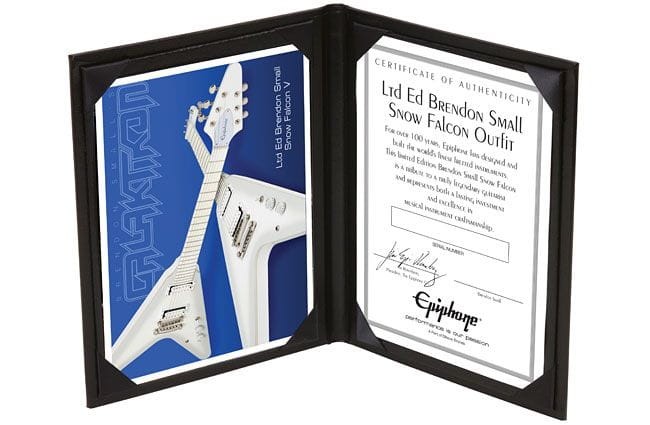 EPIPHONE BRENDON SMALL SNOW FALCON SN