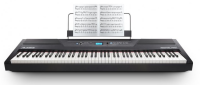 ALESIS RECITAL PRO