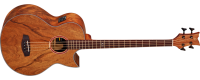 ORTEGA D3C-4