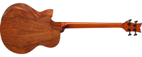 ORTEGA D3C-4