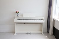 DYNATONE SLP-260 WH