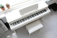 DYNATONE SLP-260 WH