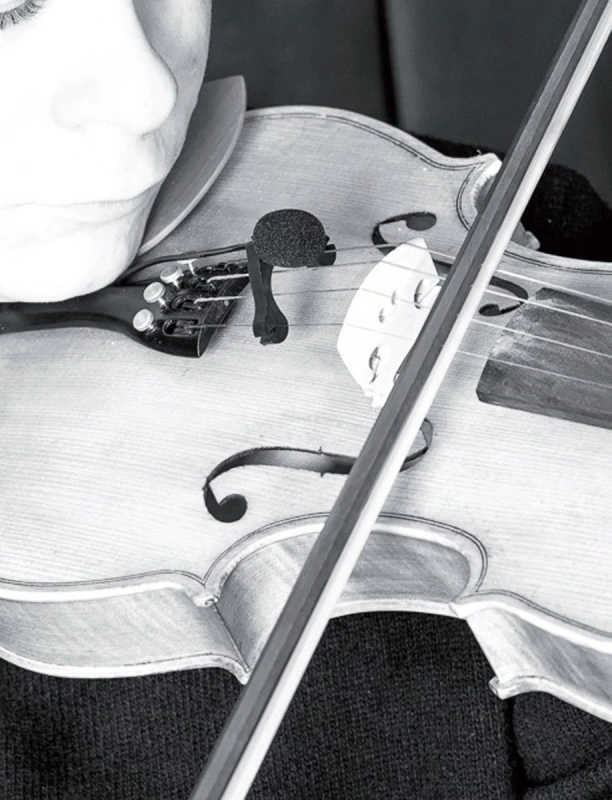 PRODIPE VL21 ELEKTRETOWY MIKROFON DO SKRZYPIEC ALTÓWKI