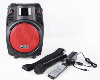 IBIZA POWER 6 PORT R CZERWONA