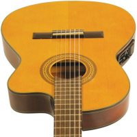IBANEZ GA5TCE AM
