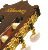 IBANEZ GA5TCE AM