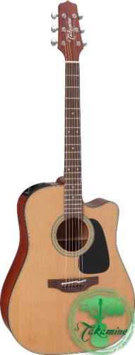 TAKAMINE P1DC