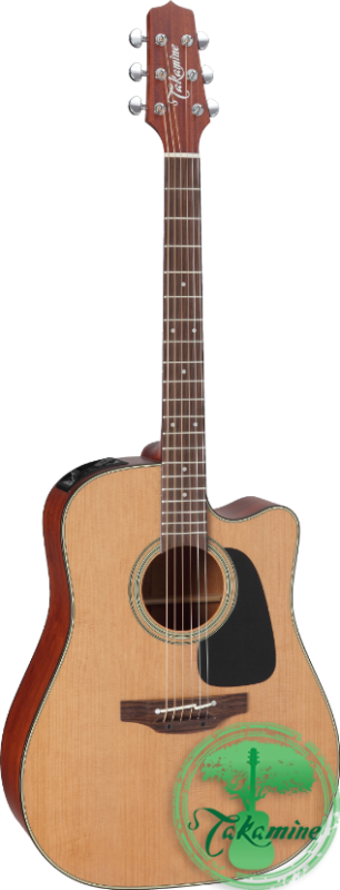 TAKAMINE P1DC