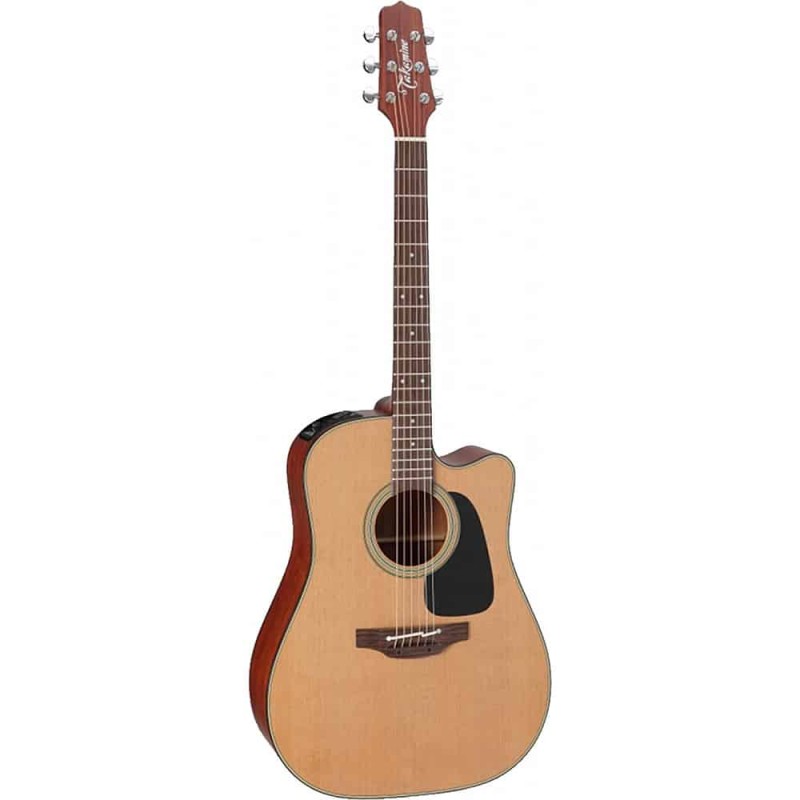 TAKAMINE P1DC