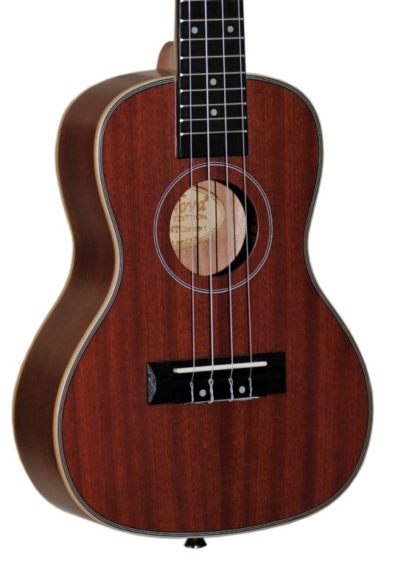 ARS NOVA AN-100C NT UKULELE KONCERTOWE