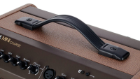 FISHMAN LOUDBOX MINI CHARGE